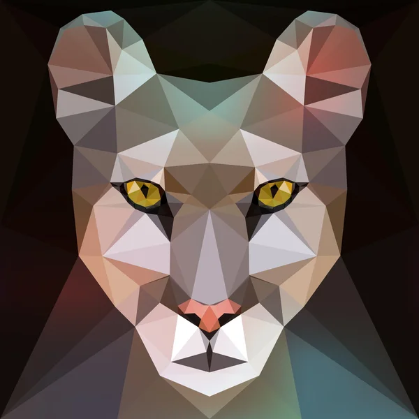 Gezicht van een cougar (puma) — Stockvector