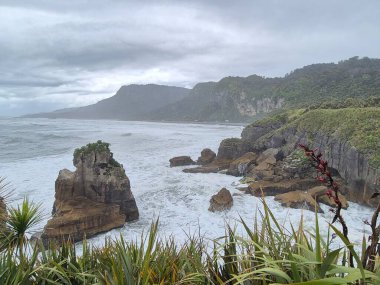 Güney Adası 'nın engebeli kıyı şeridinde dramatik uçurumlar ve Tasman Denizi var..
