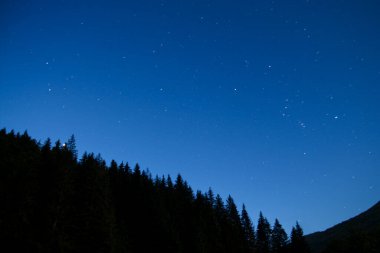 Yıldızlı ve siluetli gece gökyüzü ağaçlar ve ormanlar.