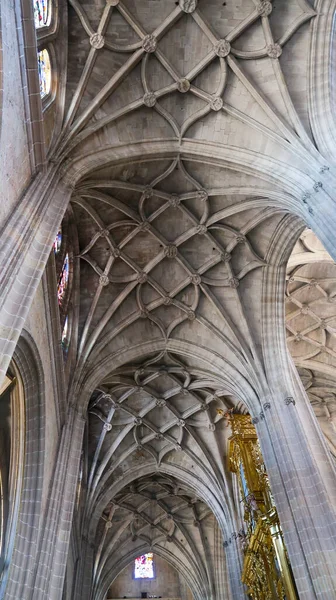 Ancient Architecture Ceiling Cathedral Segovia Interior View Spain — Stock Photo, Image