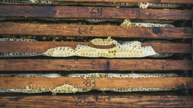 Numarası olan bir arı kovanında bal peteği çerçevelerini kapat