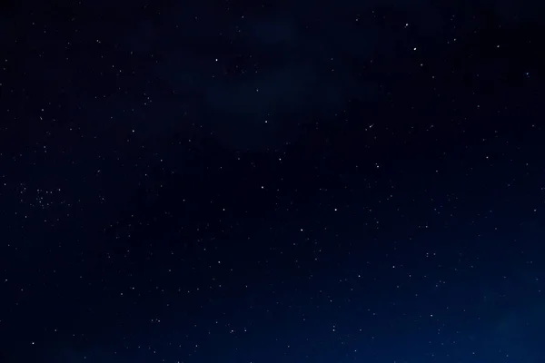 Geceleyin arka plandaki ağaçlarla yıldızlar