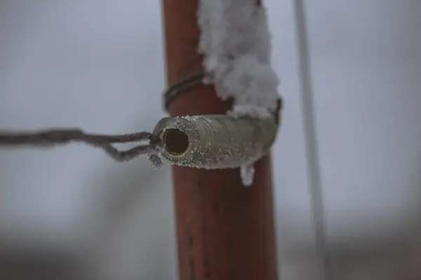때얼어붙은 용수철 — 스톡 사진