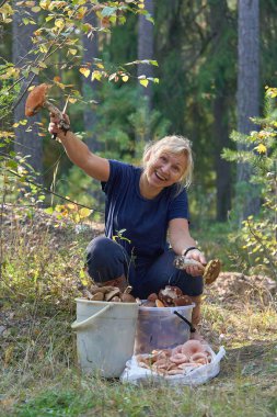 Kız mantar kovalarının önünde oturuyor. Sarışın, elinde büyük bir boletus tutuyor ve kameraya bakıyor.