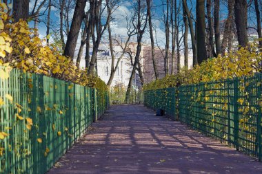 Sonbahar sokağı. Sarı yapraklı çit boyunca yol