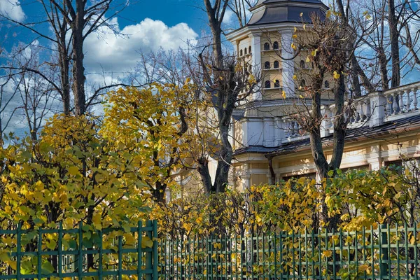城市景观 秋天黄叶树木后面的塔楼 — 图库照片