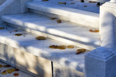 Sarı yapraklı beyaz mermer basamaklar. Parkta sonbahar