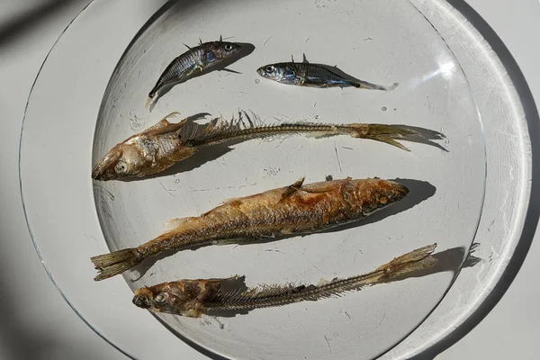 Pescado frito entero olido y huesos de pescado en un plato. — Foto de Stock