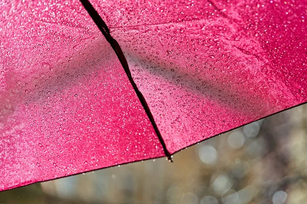 Fragment Eines Roten Regenschirms Mit Regentropfen Einem Sonnigen Sommertag Nahaufnahme — Stockfoto