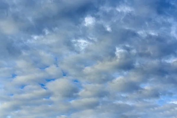 Nuvens Cúmulo Branco Fundo Céu Azul Fenômeno Natural Fundo Textura — Fotografia de Stock