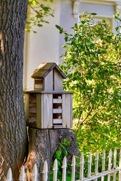 Casa Aves Varios Pisos Tocón Árbol Parque Alimentador Aves — Foto de Stock