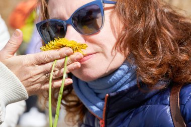 Güneş gözlüklü bir kadın sarı karahindiba çiçeklerini kokluyor. Bahar çiçeklerinin kokusu