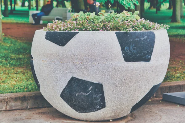 Velký Kamenný Záhon Podobě Fotbalového Míče Květinami Fotbal Květinové Záhony — Stock fotografie