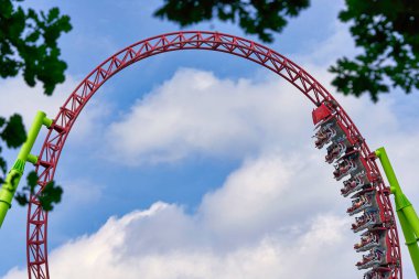 İnsanlar St. Petersburg 'daki şehir parkında geziyorlar.