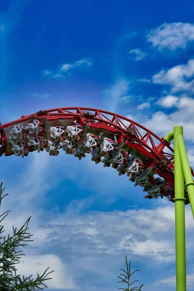 İnsanlar St. Petersburg 'daki şehir parkında geziyorlar.