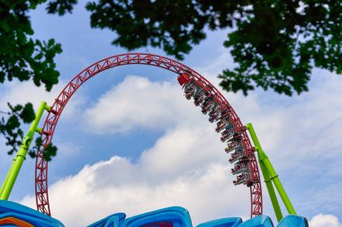 İnsanlar St. Petersburg 'daki şehir parkında geziyorlar.