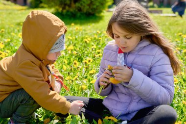 Küçük çocuk kız kardeşiyle otururken sarı karahindiba topluyor.