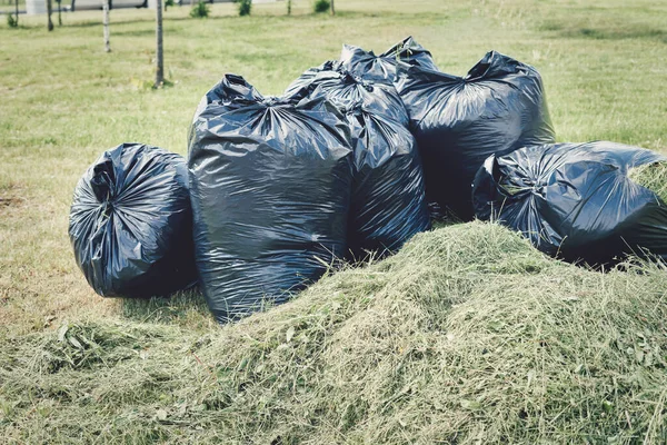 Les sacs poubelles noirs sont remplis d'herbe coupée après avoir tondu la pelouse — Photo