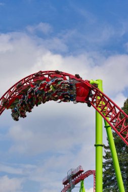 İnsanlar St. Petersburg 'daki şehir parkında geziyorlar.