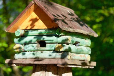 Tahta kuş evi, parkta bir kütüğün üzerinde ev şeklinde.