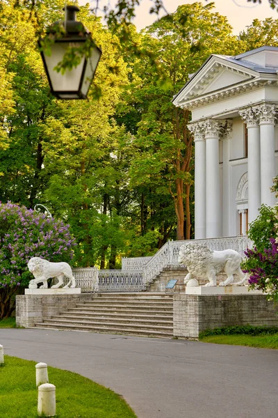 在彼得堡爱丽金宫百合花盛开的背景下的狮子 — 图库照片