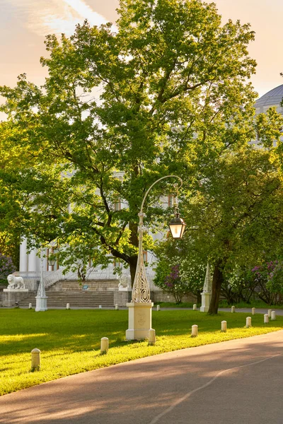 Krásná pouliční lampa na pozadí zelené louky — Stock fotografie