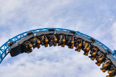 İnsanlar St. Petersburg 'daki şehir parkında geziyorlar.