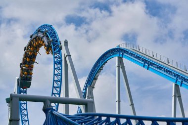 İnsanlar St. Petersburg 'daki şehir parkında geziyorlar.