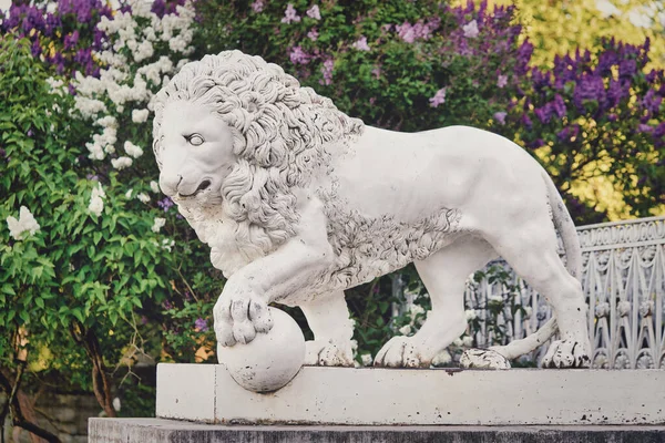 Лев на фоне цветущей сирени Елагинского дворца в Петербурге — стоковое фото