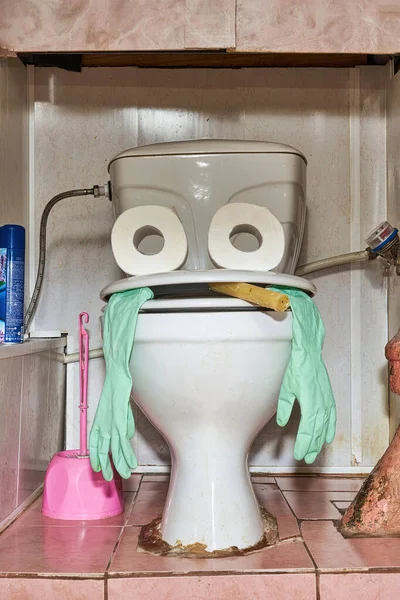 Два рулони туалетного паперу на кришці туалету нагадують людську голову — стокове фото