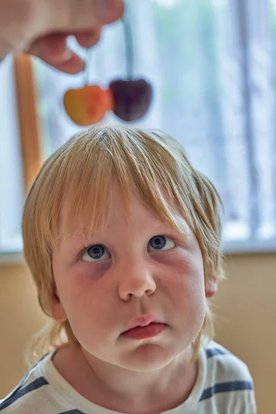 Petit Garçon Regarde Les Cerises Devant Son Visage Enfant Regarde — Photo