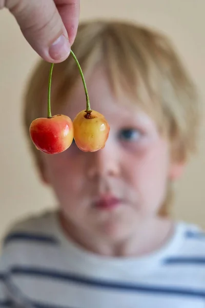 Ragazzino Guarda Ciliegie Davanti Alla Sua Faccia Bambino Guarda Bacche — Foto Stock