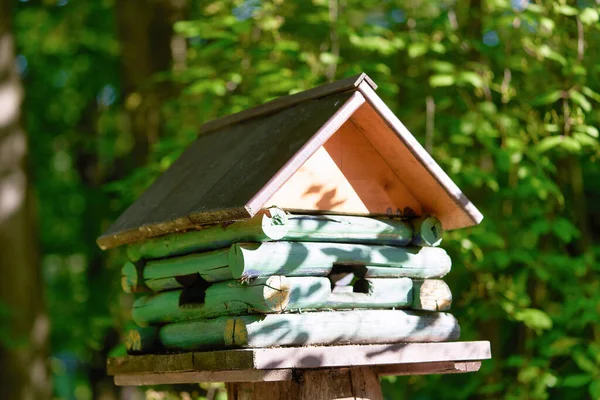 在公园的树桩上建起一座房子的木制鸟舍 — 图库照片
