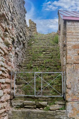 Gökyüzüne çıkan eski bir taş merdiven. Eski şatoda çimlerle kaplanmış merdiven.