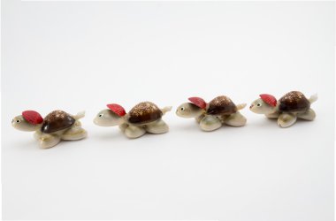 kabukları yapılan dört kaplumbağalar