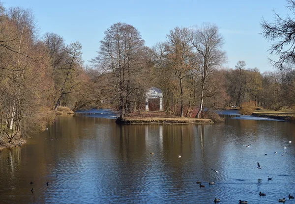 Bahar yatay, bir su birikintisi. 