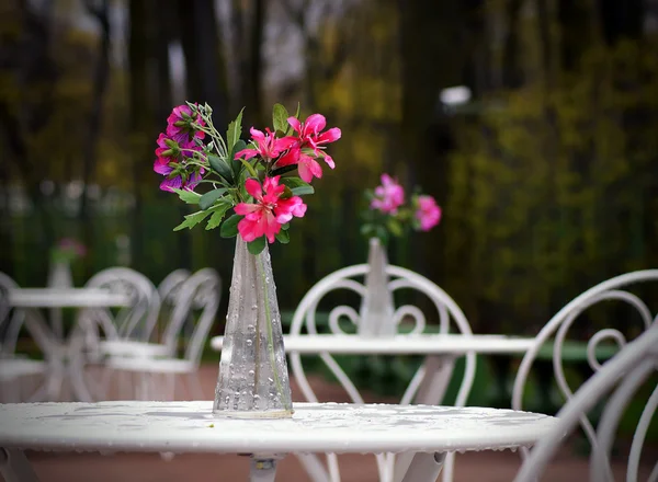 Tischchen im Café. — Stockfoto