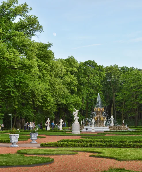 Landschaftspark mit Springbrunnen. — Stockfoto