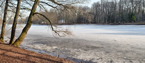 Landschaft mit dem zugefrorenen Teich. — Stockfoto