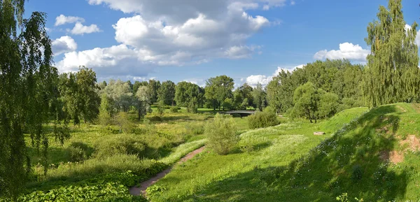 Letní příměstské krajiny. — Stock fotografie