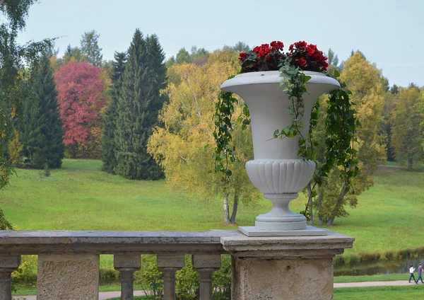 Vase with flowers on the parapet. — Stock Photo, Image