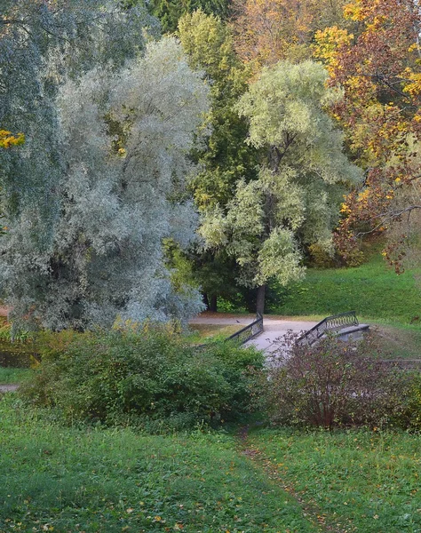 Landscape in autumn park with views of the Black Bridge in Pavlovsk. — Stock Photo, Image