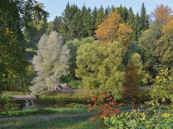 Sonbahar yatay, nehir ve stone bridge uygulamasında Pavlovsk.