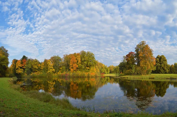 Gouden herfst in het park op de vijvers. Stockfoto