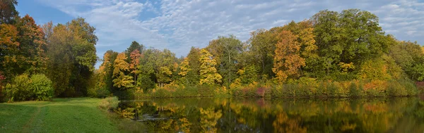 Die herbstliche Natur im Spiegelbild eines Teiches. — Stockfoto