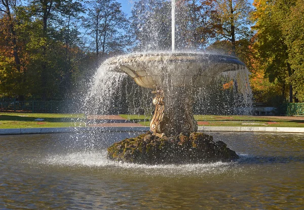 The fountain is made in the form of a bowl on a granite pedestal, from which strikes a jet of water flows into the pool. — Stock Photo, Image