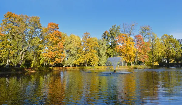 Gouden herfst in het park op een vijver met een fontein. Rechtenvrije Stockfoto's