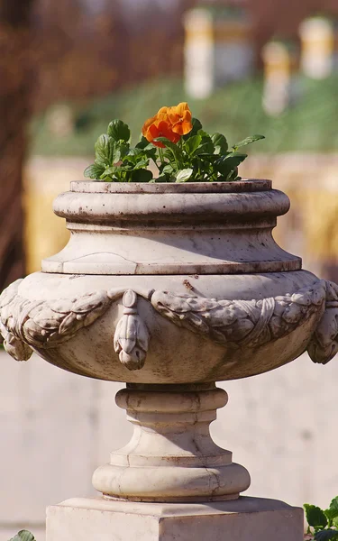 Vase mit Blumen im Park. — Stockfoto