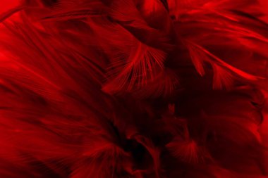 Arkaplan ve tasarım sanatı için koyu kırmızı kanat deseni.