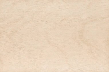 Yüksek çözünürlüklü doğal desenli bir Hollywood yüzeyi. Tahta tahıl dokusu arka planı.